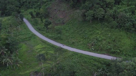 Motorbike-driving-on-small-local-Indonesian-road-surround-by-palm-trees-at-Sumba-island,-aerial