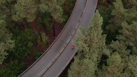 Von-Oben-Nach-Unten-Zeigt-Eine-Frau-Auf-Dem-Fahrrad-Beim-Radfahren-Durch-Die-Bäume-In-Lommel,-Belgien,-Luftaufnahme