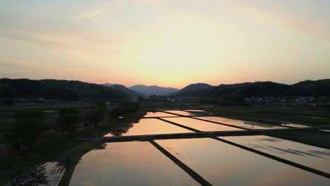Cinematic-aerial:-Rice-paddy-fields-with-watered-agriculture-in-rural-japan