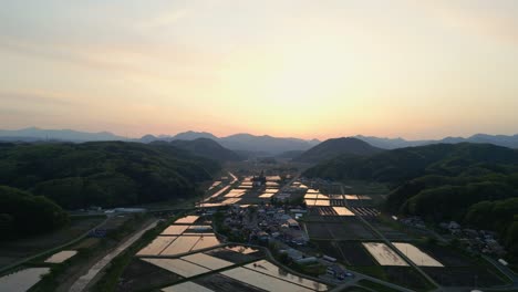 Cinematic-aerial:-Rice-paddy-fields-with-watered-agriculture-plants-in-rural-japan