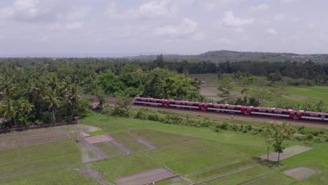 Red-train-driving-through-rice-paddies-at-java-Indonesia-during-day-time,-aerial