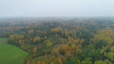 Aerial-dolly-above-cloudy-misty-yellow-and-green-forest-with-winding-dirt-road