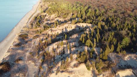 Aerial-of-ocean-beach-shore-and-pine-tree-covered-dunes,-evening-light