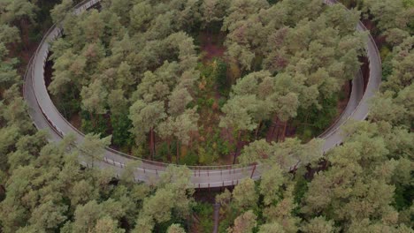 Reveal-shot-of-Fietsen-door-de-bomen-cycling-path-during-day-time,-aerial