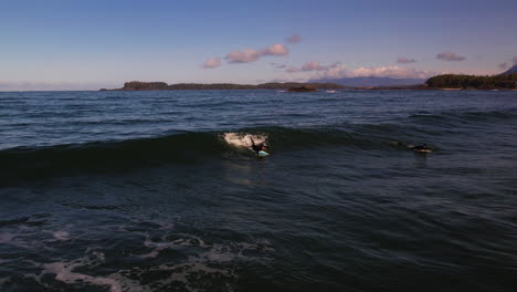 Surfers-On-Surfboards-Swim-And-Ride-Waves-In-The-Pacific-Ocean-In-Tofino,-BC,-Canada