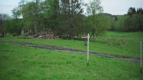Man-Carrying-Fence-Posts-At-The-Field.-wide