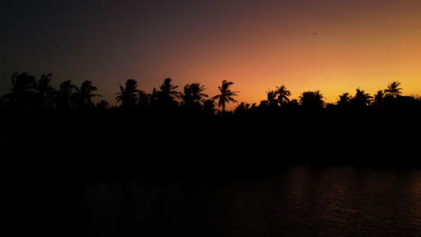 Tropischer-Sonnenuntergang-Mit-Palmensilhouetten