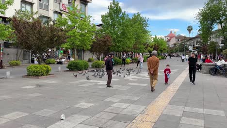 Old-city-of-Rasht-and-people-walking-in-the-town-seeding-pigeon-in-a-cobble-stone-walkway-in-a-bright-beautiful-sunshine-day-time-blue-sky-white-clouds-in-spring-season-old-buildings-flying-birds-kids