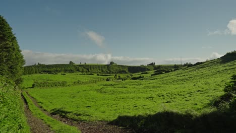 Malerische-Aussicht-Auf-Grüne-Weiden-In-Der-Nähe-Von-Mata-Do-Canário,-São-Miguel,-Azoren