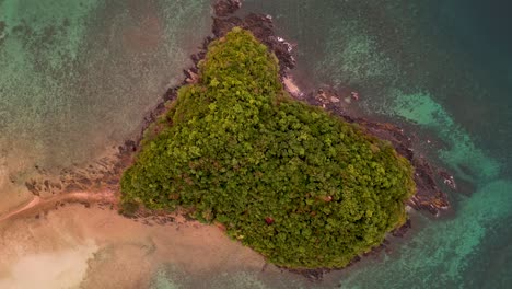 Top-down-aerial-perspective-of-basalt-rock-outcrop-covered-with-tropical-trees