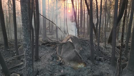 Rauch-Von-Verbrannten-Bäumen,-Asche-Nach-Einem-Waldbrand-In-Kanada-Mit-Aufgehender-Sonne-Im-Hintergrund,-Kirkland-Lake,-Ontario,-10.06.2023