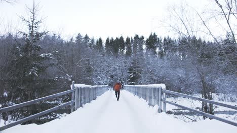 Hombre-En-Equipo-Activo-Corriendo-Hacia-Atrás-En-Un-Puente-Cubierto-De-Nieve-En-El-Bosque-De-Invierno