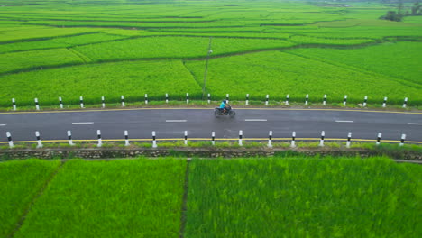 Drone-shot-of-a-Motor-bike-riding-in-road-between-agricultural-land
