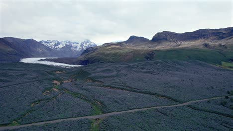 Grandes-Campos-Cubiertos-De-Flores-De-Lupino-Con-Vistas-A-Las-Montañas-Nevadas-Y-Al-Glaciar-En-El-Fondo,-Islandia
