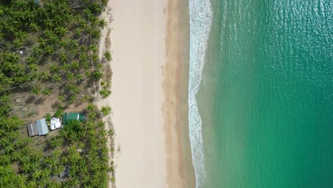 Bird's-eye-view-top-down-drone-shot-of-green-ocean-water-waves-crashing-on-beach