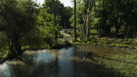 Wet-Land-Marsh-Of-Lake-Sequoyah-In-AR,-USA---drone-shot