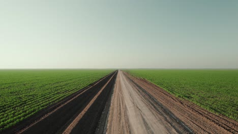 Cinematic-aerial-moving-along-the-road-through-vast-agricultural-fields,-car-visible-in-distance,-daytime-capture