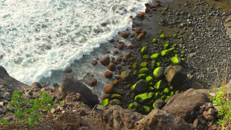 Mossy-green-stones-on-ocean-coastline-of-Tenerife-island,-top-down-view