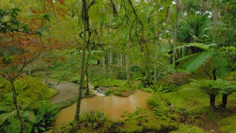 Parque-Terra-Nostra-En-São-Miguel,-Azores:-Impresionante-Vista-Escénica-De-La-Naturaleza