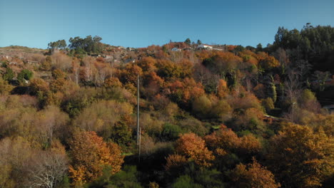 Portugiesische-Landschaft-Im-Herbst-Mit-Einem-Strommast