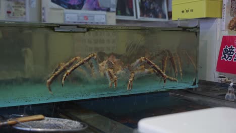 Lebende-Große-Krabbe-Im-Tank-Auf-Dem-Hakodate-Asaichi-Morgenmarkt-Gesehen