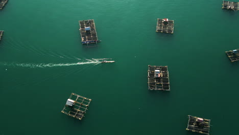 Overhead-view-of-a-fishing-boat-navigating-through-floating-fish-farms-in-the-Tanjung-Aan-bay-area,-Lombok-Island,-Indonesia