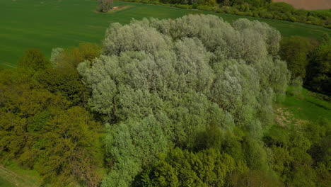 Kippbarer-Drohnenblick-über-Eine-Gemischte-Landschaft-Mit-Wald-Und-Feldern