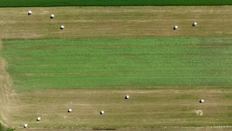 Aerial-top-down-shot-of-hay-bales-wrapped-in-foil-on-farm-field-with-different-pattern-in-sunlight---drone-flyover