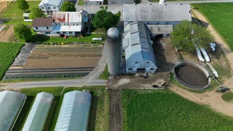 Aerial-top-view-of-american-farm-in-countryside-with-silo-and-greenhouses-and-grazing-cows-in-rural-area