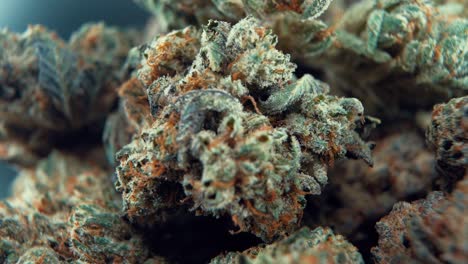 A-macro-close-up-creative-shot-of-a-cannabis-plant,-marijuana-flower,-hybrid-strains,-Indica-and-sativa,-on-a-360-rotating-stand-in-a-shiny-bowl,-120-fps-slow-motion-Full-HD-video,-studio-lighting