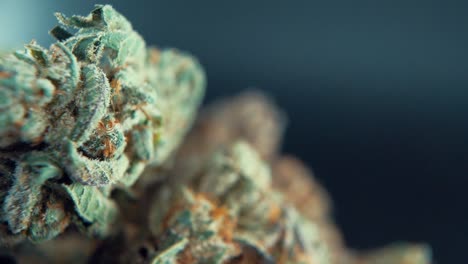 A-macro-close-up-cinematic-shot-of-a-cannabis-plant,-marijuana-flower,-hybrid-strains,-Indica-and-sativa,-on-a-360-rotating-stand-in-a-shiny-bowl,-120-fps-slow-motion-Full-HD-video,-studio-lighting