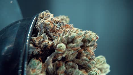 A-vertical-macro-close-up-cinematic-shot-of-a-cannabis-plant,-marijuana-flower,-hybrid-strains,-Indica-and-sativa,-on-a-360-rotating-stand-in-a-shiny-bowl,-120-fps-slow-motion,-Full-HD-video