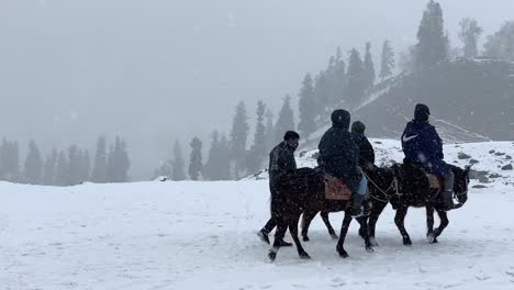 Toma-En-Cámara-Lenta-De-Personas-Conduciendo-Caballos-Y-Trineos-Viejos-En-Las-Nevadas-Invernales,-Jinetes-Y-Ponis-Caminando-Por-El-Valle,-Visitando-El-Punto-Turístico-De-Baisaran-En-Pahalgam