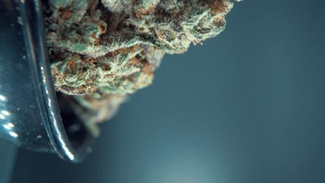 A-vertical-macro-close-up-juicy-shot-of-a-cannabis-plant,-marijuana-flower,-hybrid-strains,-Indica-and-sativa,-on-a-360-rotating-stand-in-a-shiny-bowl,-120-fps-slow-motion-Full-HD,-studio-lighting