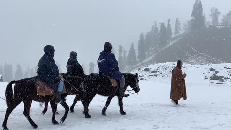 People-driving-horse-and-old-sleigh-in-winter-snowfall,-Horseman-and-horse-pony-walking-on-valley,-Visiting-Baisaran-Tourist-Point-in-Pahalgam