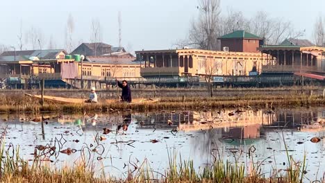 beautiful-view-of-houseboats-and-trees-on-Dal-Lake,-Jammu-and-Kashmir,-India,-Scenery-of-Kashmir,-Shikara-Boats-readies-to-take-tourists-around-while-sun-sets-over-Dal-Lake-in-Srinagar