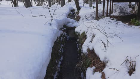 In-a-winter-setting,-a-gentle-water-stream-creates-a-captivating-contrast-against-the-snowy-landscape,-bathed-in-the-soft-glow-of-the-day
