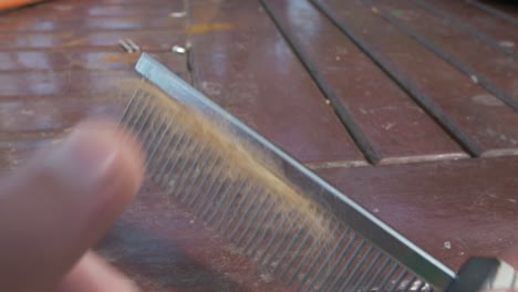Removing-dog-hair-gathered-in-a-comb
