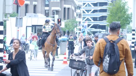 Bauerndemonstration-In-Den-Niederlanden