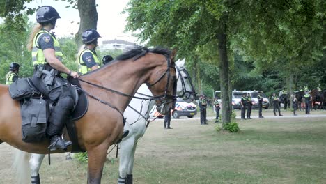 Bauerndemonstration-In-Den-Niederlanden