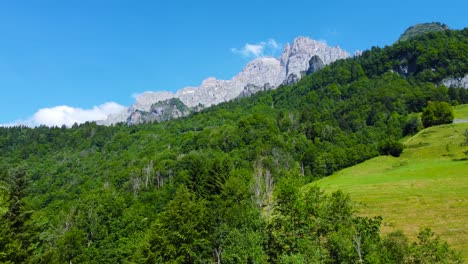 Hermosa-Toma-Aérea-Del-Bosque-Y-Las-Montañas-De-Los-Alpes-Suizos-En-Suiza