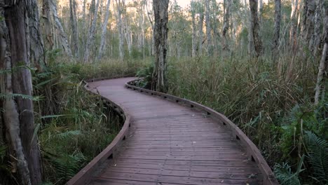 Handheld-wide-shot-Melaleuca-Boadwalk-trail,-Coombabah-Lake-Conservation-Park,-Gold-Coast,-Queensland