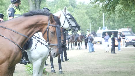 Bauerndemonstration-In-Den-Niederlanden