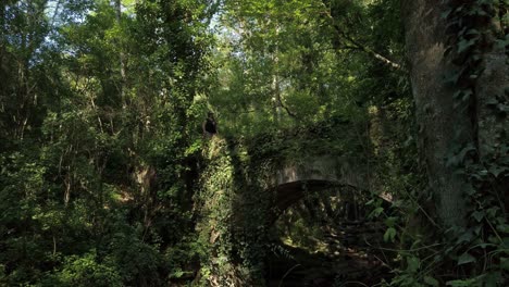 Frau-Geht-über-Eine-Kleine-Steinbogenbrücke,-Die-Von-Bäumen-Und-Laub-Verdeckt-Wird