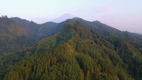Aerial-view-of-wild-forest-on-the-hills-and-valley-in-early-morning