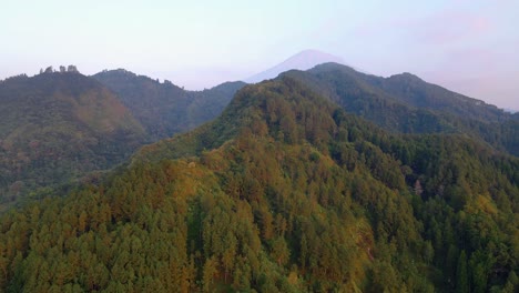 Aerial-view-of-endless-forest-on-the-hills-and-valley-in-the-morning