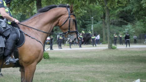 Bauerndemonstration-In-Den-Niederlanden