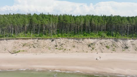 Aerial-establishing-view-of-Baltic-sea-beach-at-Jurkalne-on-a-sunny-summer-day,-white-sand-cliff-damaged-by-waves,-coastal-erosion,-climate-changes,-ascending-drone-shot-moving-forward