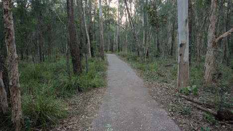 Open-forest-trail,-Coombabah-Lake-Conservation-Park,-Gold-Coast,-Queensland