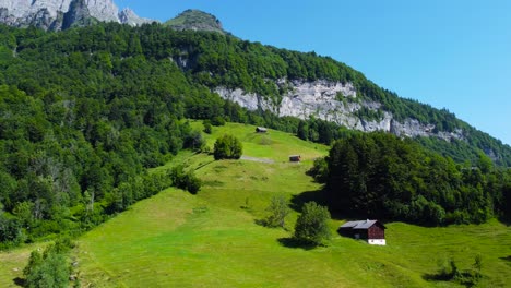 Breathtaking-Aerial-Shot-of-Swiss-Alps-Forest-Greenery-in-Switzerland